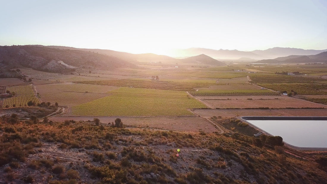 Casa Balaguer, Alicante, Spain