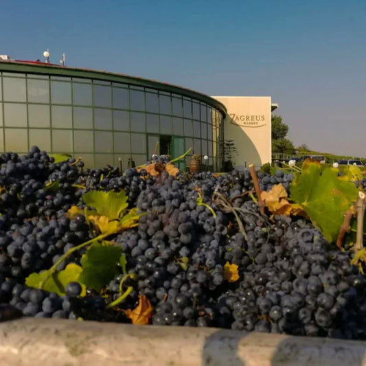 Zagreus & the Natural Wine Fellows: Bulgaria's Thracian Lowlands