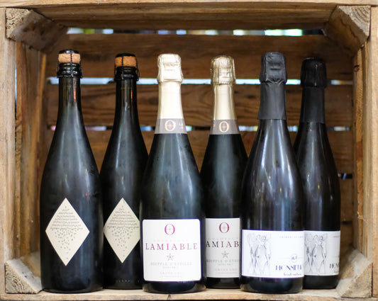 Wine Boy Club — Champagne