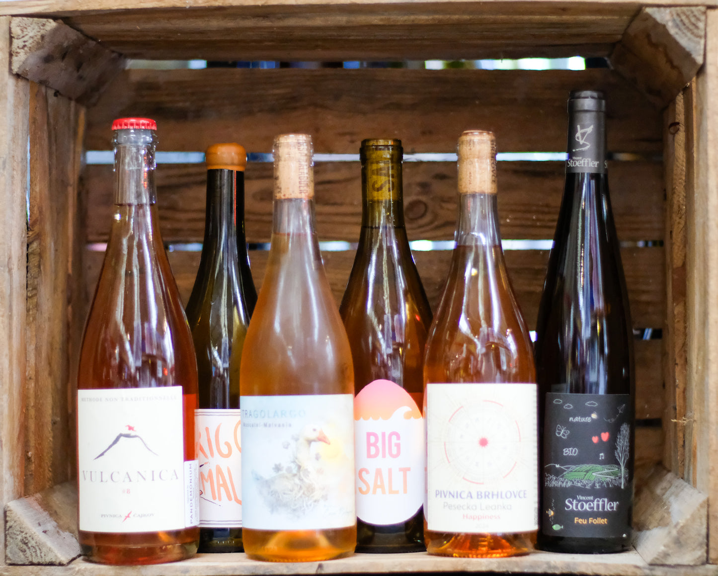 Wineboy Club — Gold