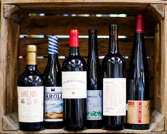 Wine Boy Club — Platinum