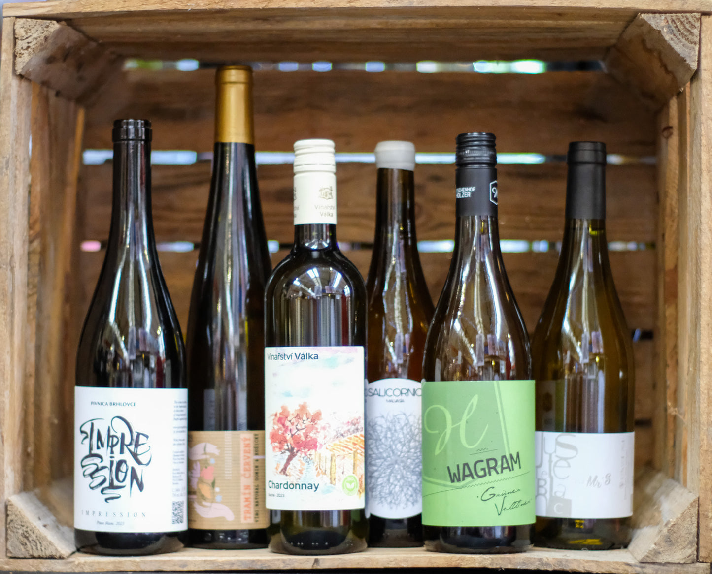 Wine Boy Club — Platinum